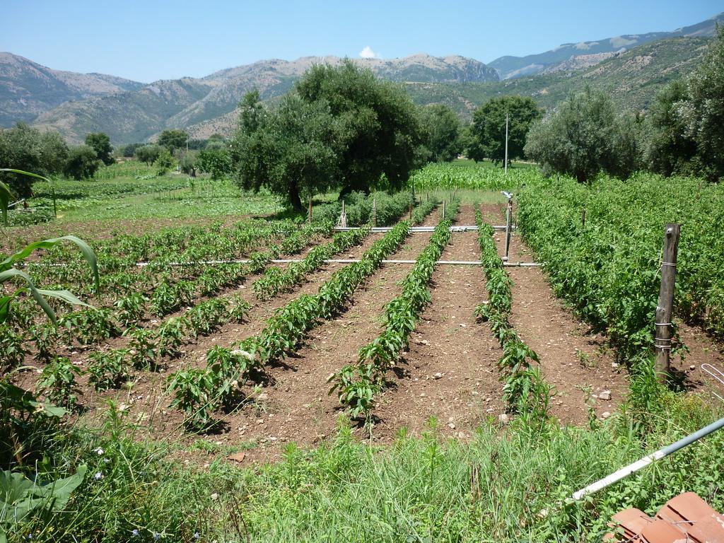 Agriturismo La Locanda Del Parco Morano Calabro Kültér fotó